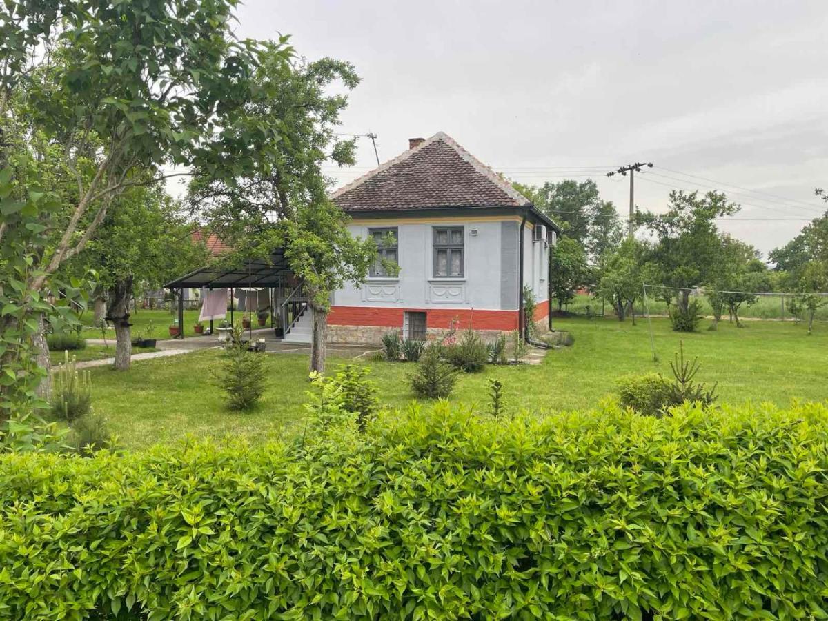 Apartmani Petkovic 226 Velika Drenova Exterior photo